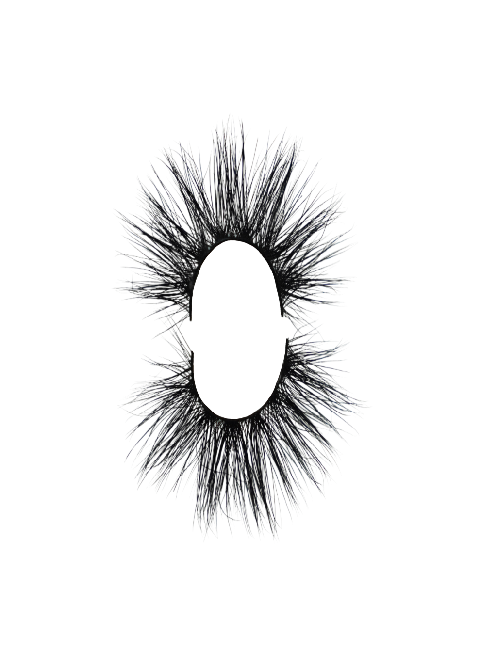 Pamela Lashes